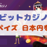 【画像付き】ビットカジノにecoPayz（エコペイズ）から日本円を入金する方法
