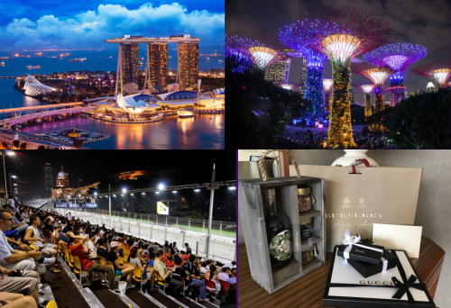 vip travel in singapore