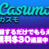 【カスモ体験談】HONEY RUSH（ハニーラッシュ）でいくら勝てたか